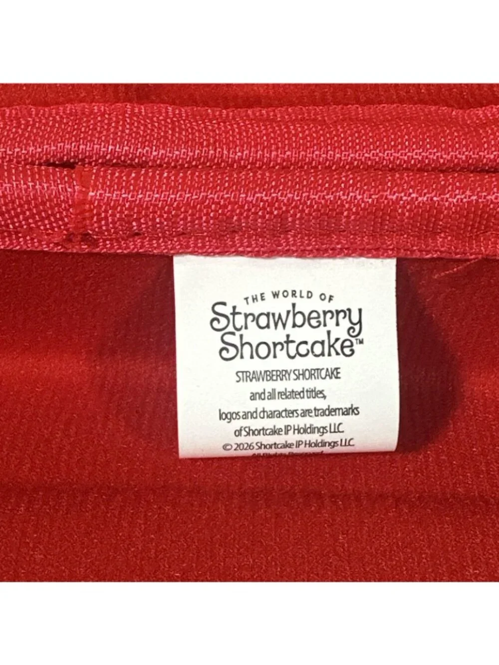 Strawberry Shortcake Molded Zip Around Pencil/Pen Case NWOT